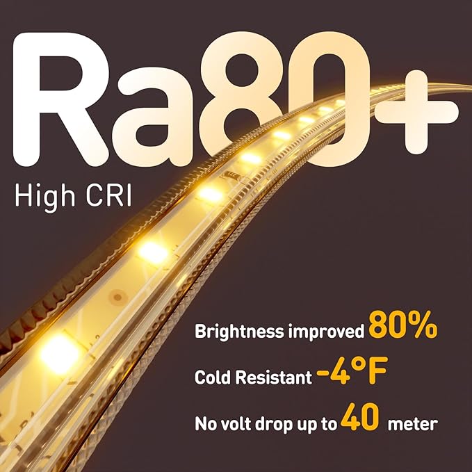 Shine Decor LED Strip Light Easy Connectable, 2800K Warm White Cold Resist Weatherproof Plug-in for Indoor Outdoor, 101 LM/FT Dimmable Bright Eco Rope Lighting 98FT, 120V Whole Set ETL Listed