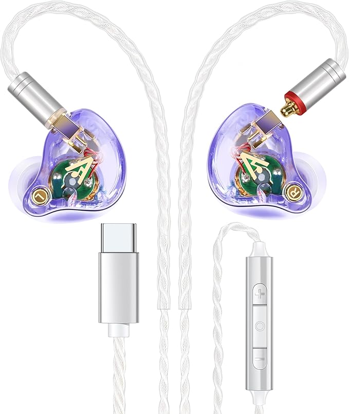 Vibes 202MC USB-C Wired Earbuds - USBC HiFi in Ear Headphones for iPhone 17/16/15 - Noise Isolating Ear Buds w/ Mic - Clear Sound, Deep Bass & Comfort-Fit Earphones - Silver Plated Cord, Carrying Case