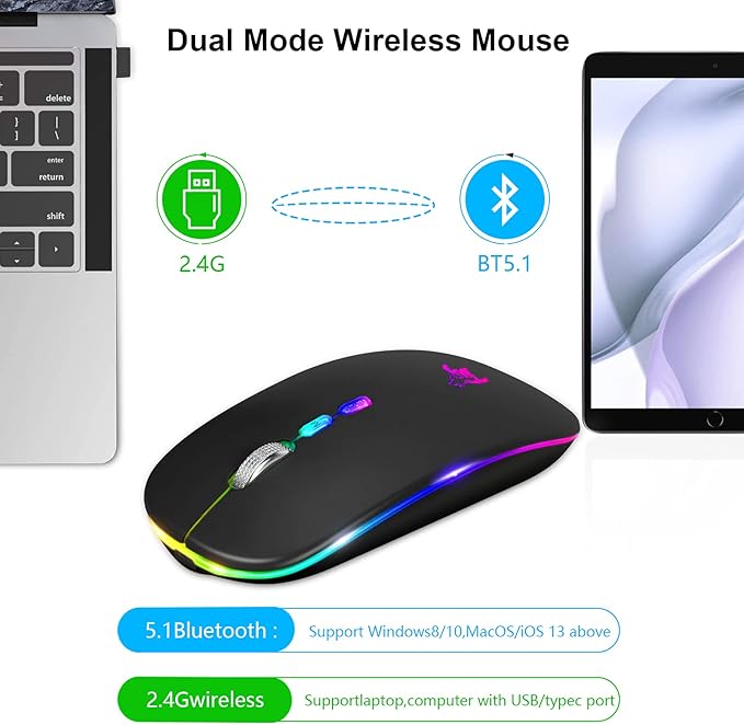 HOTLIFE LED Wireless Mouse, Slim Rechargeable Silent Portable USB Optical 2.4G Wireless Bluetooth Two Mode Computer Mice with USB Receiver and Type C Adapter (Black)
