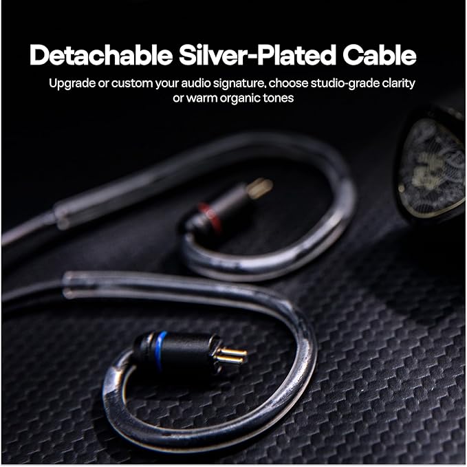 Linsoul TANGZU Wan'er S.G II in Ear Monitor,HiFi Wired Earbuds,10mm Dynamic Driver PET Diaphragm Gaming IEM Earphones with 2Pin Detachable OFC Cable for Audiophile DJ Stage (Clear Black, Typec Mic)