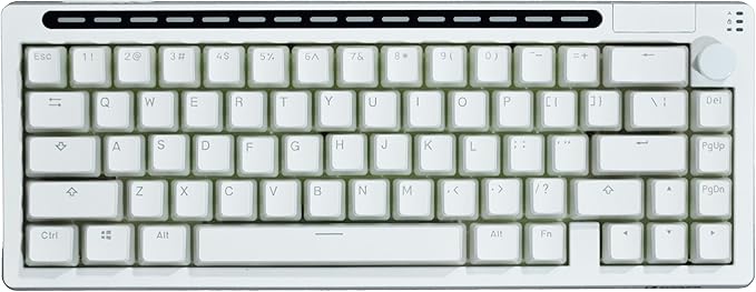R66 65% Voice-Activated Hot Swap RGB Triple Mode（2.4Ghz/Bluetooth 5.0/Wired） Wireless Top Gaming Keyboard,Knob Control Mechanical Keyboard, PBT Keycaps (Glacial-White- Tactile Switch)