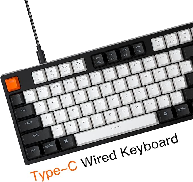 Keychron C2 Full Size Wired Mechanical Keyboard for Mac, Hot-swappable, Gateron G Pro Brown Switch, RGB Backlight, 104 Keys ABS keycaps Gaming Keyboard for Windows, USB-C Type-C Braid Cable