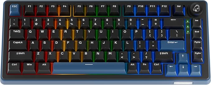 Ducky OK-M - 65% Wireless Mechanical Gaming Keyboard : Gasket-Mount Design, Hot-Swappable Switches, Five-Layer Acoustic Dampening, RGB, USB-C, 2.4Ghz, Bluetooth, Wine Red Switch
