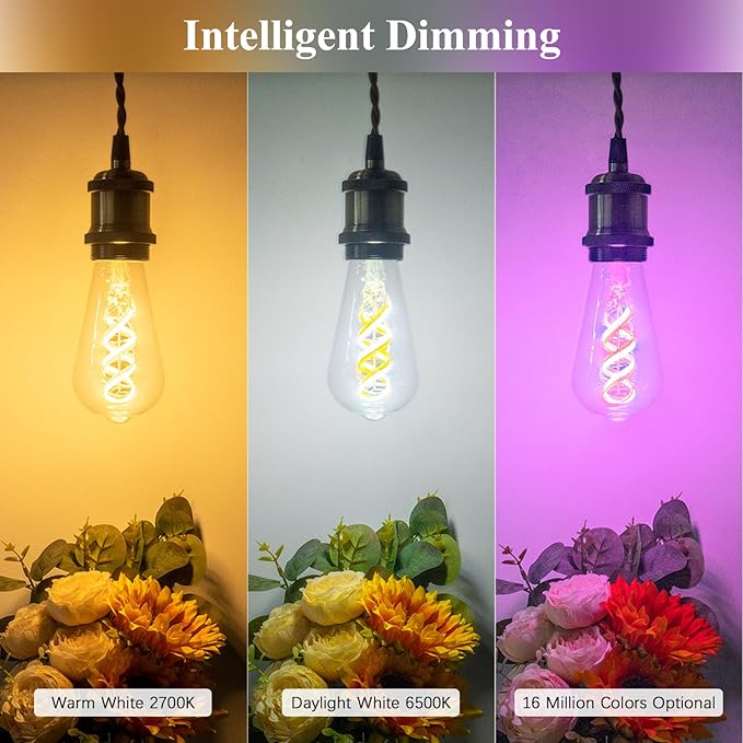 DiCUNO Smart Edison Bulbs ST19, Color Changing WiFi Smart Light Bulb, 2700K-6500K Tunable via App, ST58 Edison Bulb, Compatible with Alexa & Google Home, 5W (50 Watt Equivalent), 500lm, 2-Pack