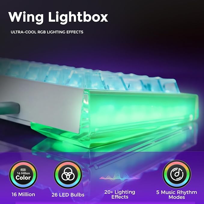 DAREU COOL68 60% Wired Gaming Keyboard, Rapid Trigger Magnetic Switch Keyboard with 8000Hz Polling Rate, Adjustable Actuation, 0.1ms Latency, Gasket Mount, Hot swappable, RGB Light