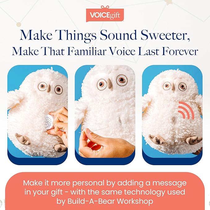 VOICEGIFT Mini-Me, 60-Second Multi-Message Audio Recorder for Plush Toys, Quilts, Pillow, Crafts, Playful Mini Voice Gift Inserts for Custom Sound Gifting & DIY Projects 2-Pack
