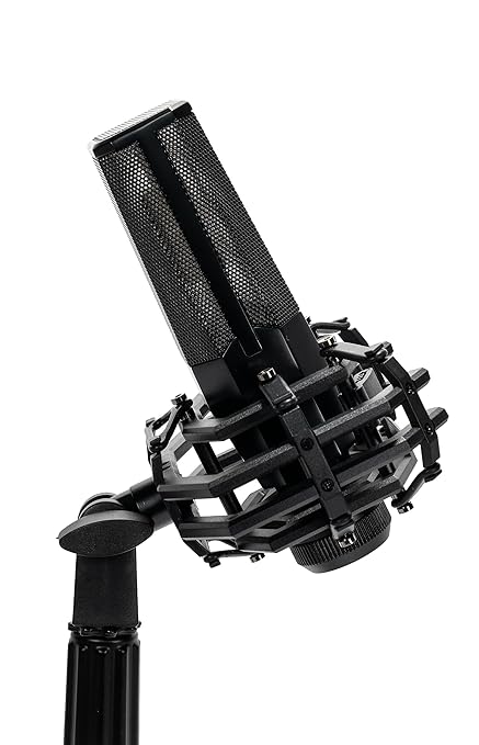 CAD Audio E150 Large Diaphragm Cardioid Condenser Microphone
