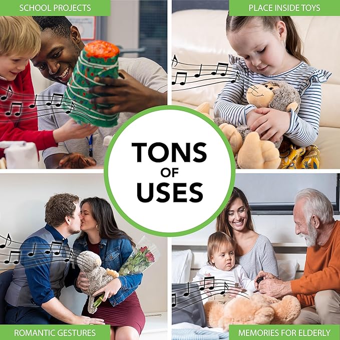 2+ Hr Voice Box for Stuffed Animals by Friendly Songs - This Sound Module can Hold 70+ MP3 Songs or MP3 Voice Recordings Inside The Voice Recorder for Stuffed Animals and Plush Teddy Bears
