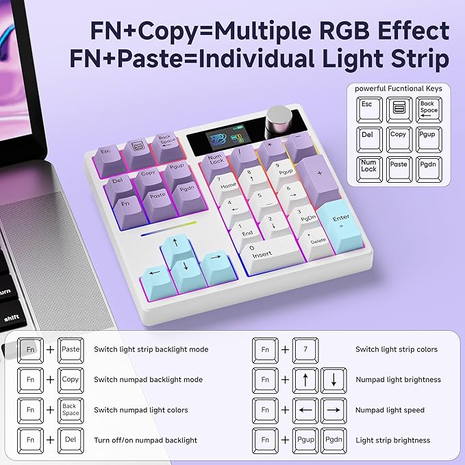BOYI TD31Pro Mechanical Number Pad,Bluetooth5.0/2.4G/Type-C Wireless Numeric Keypad,RGB HotSwap Numpad with Screen&Knob,PBT Keycap Rechargeable Gasket Number keypad for PC Laptop Desktop(White-Purple)