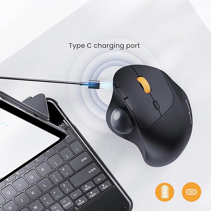 ProtoArc Wireless Trackball Mouse, EM04 Ergonomic Bluetooth Rollerball Rechargeable Computer Laptop Thumb Control Mouse, Compatible with PC, iPad, Mac, Windows-Gray Ball