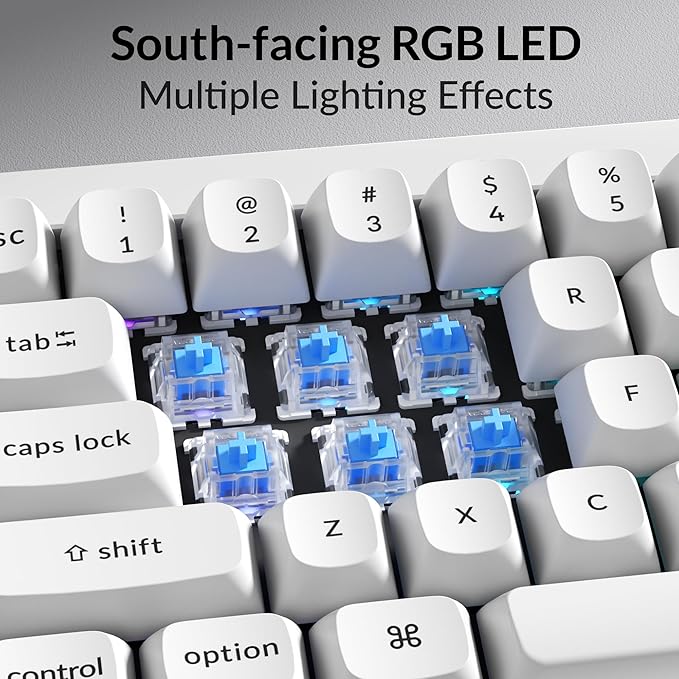 Keychron Q4 Wired Custom Mechanical Keyboard, QMK/VIA Programmable Macro, Full Aluminum, Hot-Swappable Gateron G Pro Blue Switch, 60% Layout Double Gasket Compatible with Mac and Windows - White