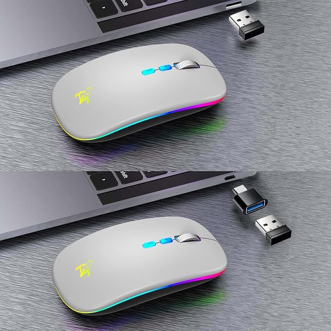 HOTLIFE LED Wireless Mouse, Slim Rechargeable Bluetooth Mouse, 2.4G Portable USB Optical Wireless Computer Mice with USB Receiver and Type C Adapter (Grey)
