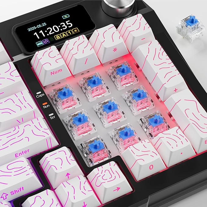 Zhouwang 72PCS Blue Clicky Mechanical Keyboard Switches,3-Pin Hot-Swappable Pre-Lubricated Switch with 2 Kailh Switches,Crisp Click Sound for Gaming Keyboards & 3D Print Accessories