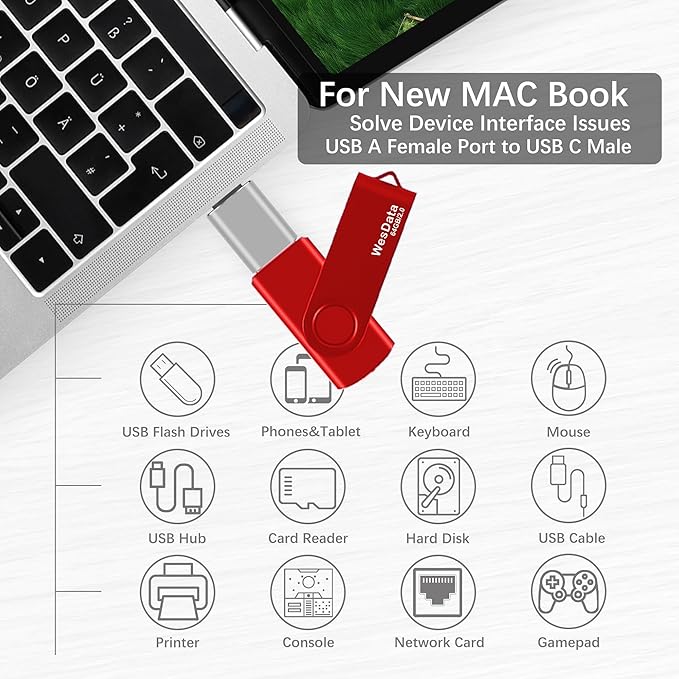 2 Pack 64GB USB 2.0 Flash Drive and 1 USB C Adapter, Thumb Drive USB Memory Stick Jump Drive, Compatible with OTG Type C Phones, Tablets, Laptop, PC (Blue, Red)