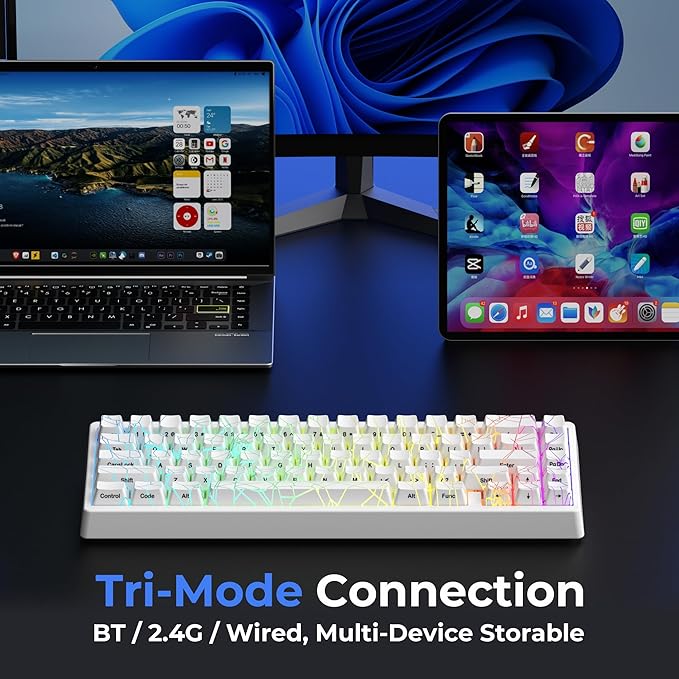 HITIME x XVX M67 Wireless 60% Percent Keyboard, QMK/VIA Gaming Keyboard, Tri-Mode Thocky Creamy Mechanical Key Board, Hot Swappable Gasket Mount RGB IMD Tech for Win/Mac, Spider Web Theme, White
