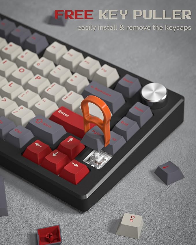 Womier Double Shot PBT Keycaps Set 138 Keys, Cherry Profile Custom Keycaps 60 65 75 100 Percent for 61/64/68/84/87/100/104/108 Retro Gaming Mechanical Keyboard, Purple Gray
