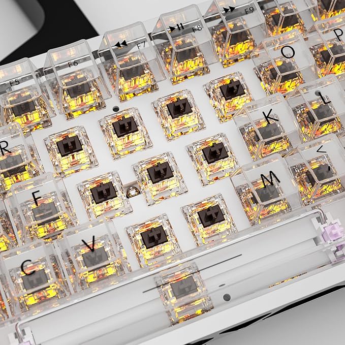 Zhouwang Crystal Brown Switch Mechanical Keyboard Replacement,3 Pin Tactile/Accurate Typing/Dustproof/RGB Transparent Gaming Keyboard Switches(36Pcs)