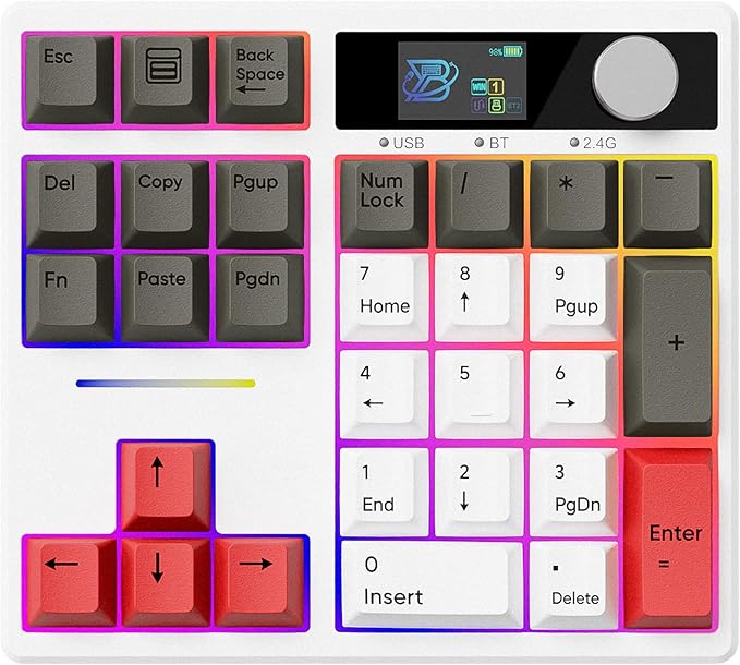 BOYI TD31Pro Mechanical Number Pad,Bluetooth5.0/2.4G/Type-C Wireless Numeric Keypad,RGB HotSwap Numpad with Screen&Knob,PBT Keycaps Rechargeable Gasket Number keypad for Working/Gaming(White-Grey)