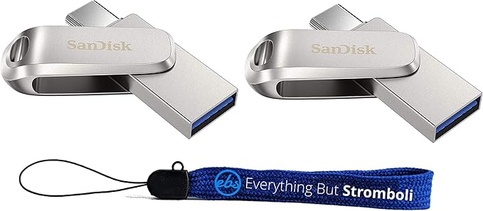 SanDisk 1TB Flash Drive (Bulk 2 Pack) Ultra Dual Drive Luxe USB Type-C for Smartphones, Tablets, and Computers - High Speed USB 3.1 (SDDDC4-1T00-G46) Bundle with (1) Everything But Stromboli Lanyard
