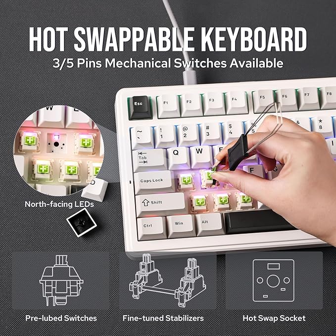 EPOMAKER x Aula F99 Wireless Mechanical Keyboard, Hot Swappable Gasket Custom Gaming Keyboard with Five-Layer Padding, BT/2.4GHz/USB-C, 8000mAh Battery (White Grey, Reaper Switch)