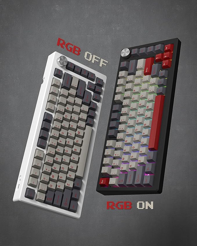 Womier Double Shot PBT Keycaps Set 138 Keys, Cherry Profile Custom Keycaps 60 65 75 100 Percent for 61/64/68/84/87/100/104/108 Retro Gaming Mechanical Keyboard, Purple Gray