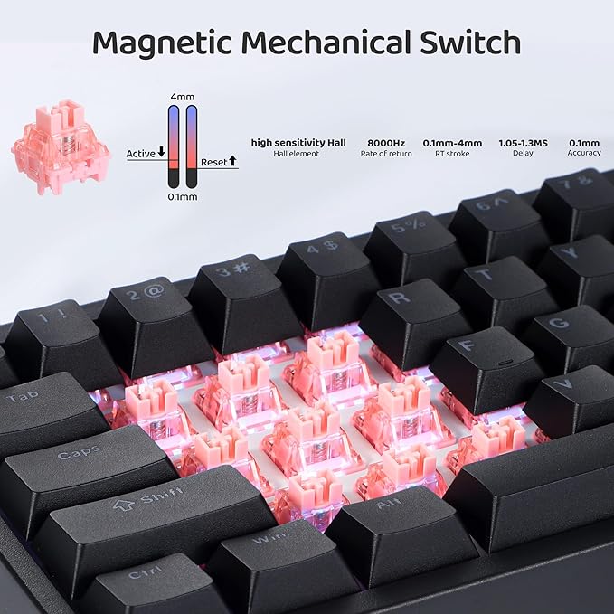 BOYI 66Pro Rapid Trigger Magnetic Switch Mechanical Keyboard,65% Hyper-Fast Actuation Point Adjustable Dedicated 8K Hz Polling Rate HotSwap RGB Wired Gaming Keyboard with Knob (Black)