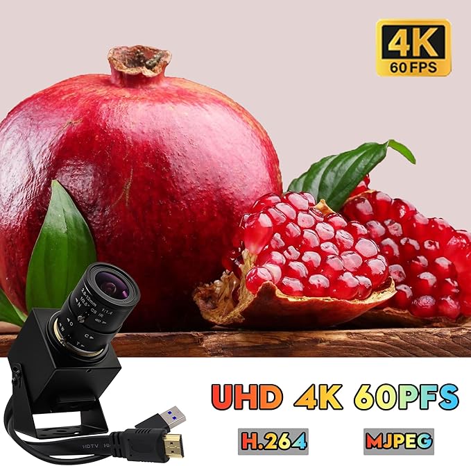 SVPRO 4K 60fps USB Camera with 2.8-12mm Manual Zoom Lens, HDMI/USB3.0 Dual Output, H.264/MJPEG, 4X Optical Zoom Webcam for PC, Mac, Raspberry Pi, Live Streaming, Video Conferencing, TV Monitor