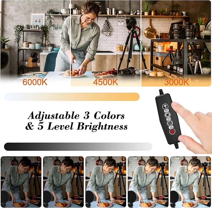 Mojimdo Lighting for Video Recording, Video Light Clip on Desktop Monitor, 3 Dimmable Color & 5 Brightness Level Webcam Light for Meet Lighting/Remote Working/Self Broadcasting/Live Streaming - 4.7''