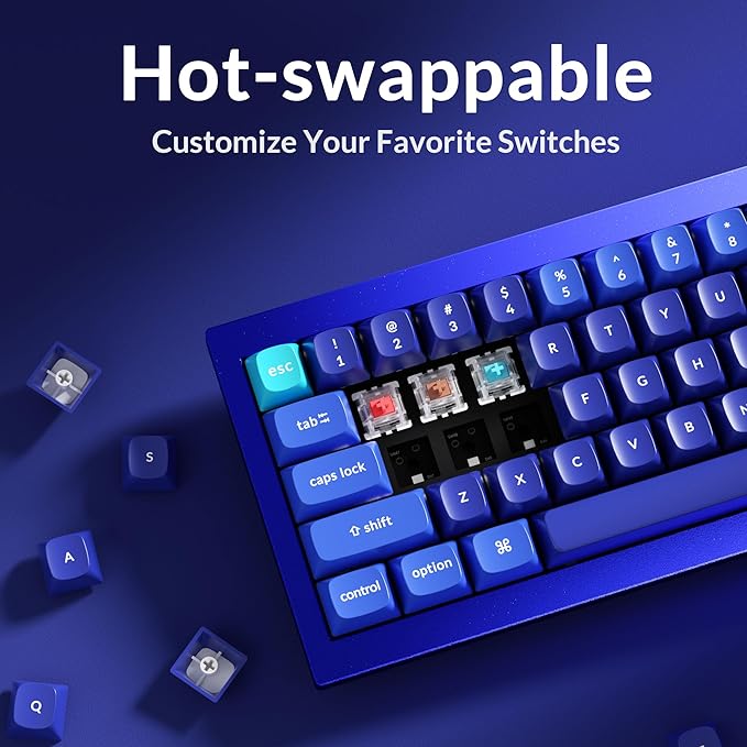 Keychron Q4 Wired Custom Mechanical Keyboard, QMK/VIA Programmable Macro, Full Aluminum, Hot-Swappable Gateron G Pro Brown Switch, 60% Layout Double Gasket Compatible with Mac and Windows - Blue