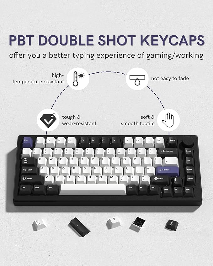 Womier Double Shot PBT Keycaps Set 138 Keys, Cherry Profile Custom Keycaps 60 65 75 100 Percent for 61/64/68/84/87/100/104/108 Retro Gaming Mechanical Keyboard (Black White2)