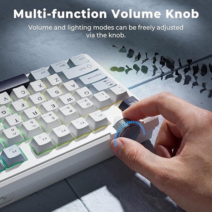 Redragon K716 Wireless Mechanical Keyboard with Knob, Gasket Gaming Keyboard in TKL Layout, Hot swap Pre-Lubed Switches, RGB Backlight, for PC/Mac (White)