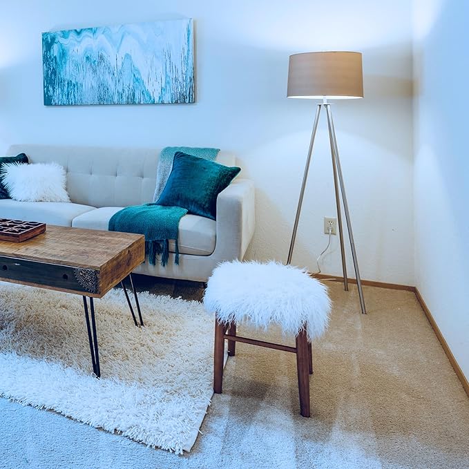 Feit Electric OM60/950CA/AG 60W Equivalent 2.4GHz WiFi Dimmable, No Hub Required, Alexa Google Assistant A19 Smart LED Light Bulb, 4.4" H x 2.3" D, 5000K Daylight