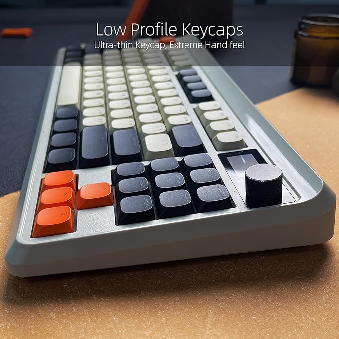 Womier Low Profile Keycaps - PBT Shine Through Keycaps 60 65 75 100 Percent, Retro Keyboard Key caps Full Size for Cherry Gateron MX Switches Mechanical Keyboard, Retro Carbon Color