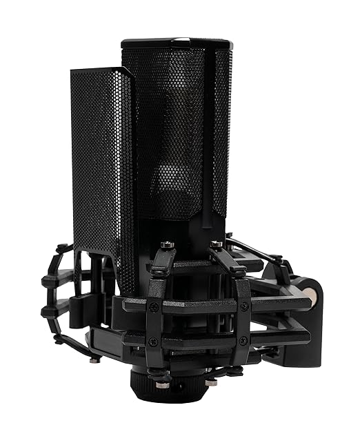 CAD Audio E150 Large Diaphragm Cardioid Condenser Microphone