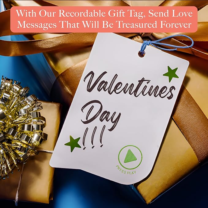 VOICEGIFT 60-Second Audio Recorders for Gift, Back to School Voice Recordable GiftTags for Teachers & Students | Seashell | 3 Pack