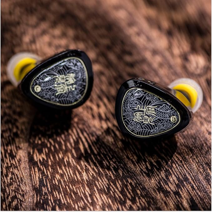 Linsoul TANGZU Wan'er S.G II in Ear Monitor,HiFi Wired Earbuds,10mm Dynamic Driver PET Diaphragm Gaming IEM Earphones with 2Pin Detachable OFC Cable for Audiophile DJ Stage (Clear Black, Typec Mic)