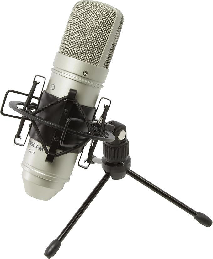 Tascam TM-80 Large Diaphagm Condenser Microphone,Silver