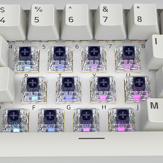Kailh Box Navy Switches for Mechanical Gaming Keyboard,3-Pin 60gf Clicky/Factory Lubed/IP56 Dust&Waterproof Switches(Kailh Box Navy,10Pcs)