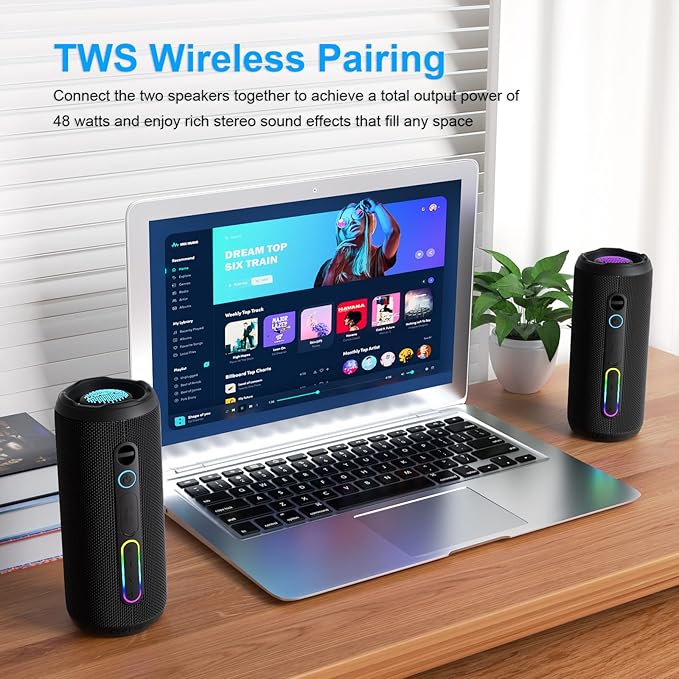 Portable Bluetooth Speaker, 24W Loud Deep Bass, IPX7 Waterproof, TWS Pairing, 12H Playtime, RGB Lights, Outdoor Bluetooth Speakers for Camping, Biking, Party (Black)