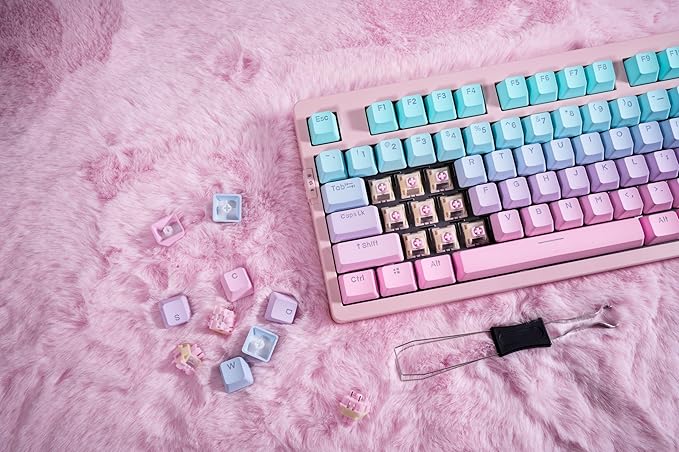 ZORNHER ZH980 Mechanical Keyboard,95% Pink & Blue Creamy Keyboard with Number Pad,Gaming Keyboard Full Size,Shine Through PBT Keycaps,Creamy Sounding Linear Switches