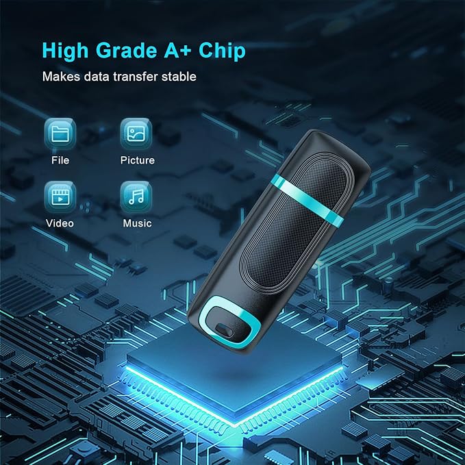 RAOYI 256GB USB 3.0 Flash Drive Thumb Drive High Speed Memory Stick Jump Drive Portable Zip Drive for PC Laptop Backup