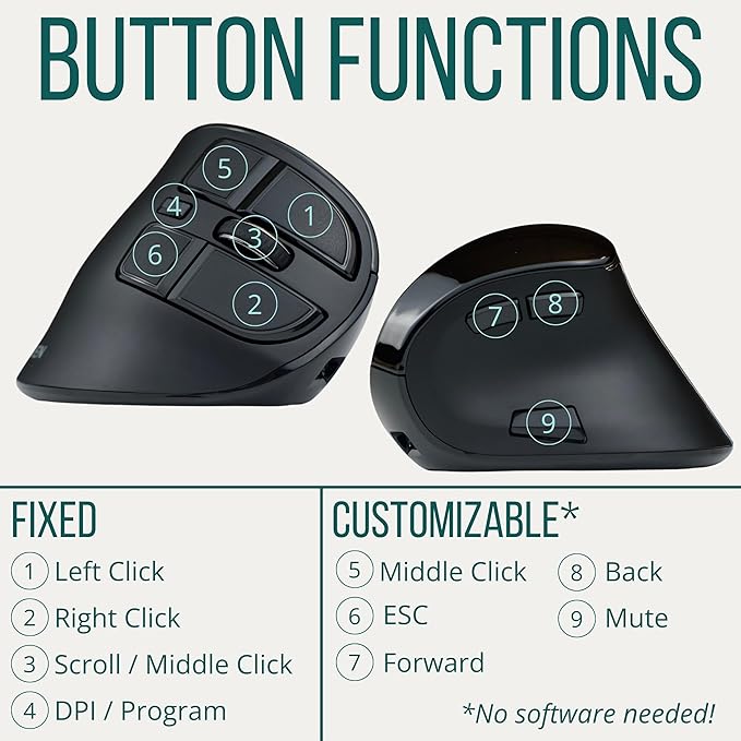 Ergodriven Om Vertical Ergonomic Mouse | Wireless: Bluetooth & 2.4G | Rechargeable, Optical, 4 DPI Levels, 5 Custom Buttons | for PC, Mac, Laptop, Computer | Silent Click | Copy/Paste Function
