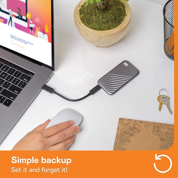 Western Digital 2TB My Passport SSD Portable External Solid State Drive, Gray, Sturdy and Blazing Fast, Password Protection with Hardware Encryption - WDBAGF0020BGY-WESN