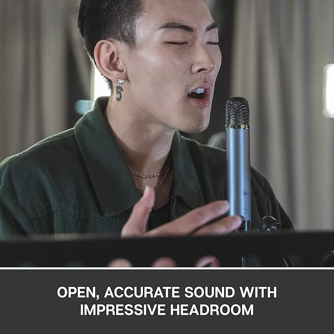 Blue Ember XLR Condenser Mic for Recording and Streaming, Custom Cardioid Capsule and Mic Stand Mount, Gray